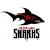 Sharks Jacksonville Diamond Painting Kit