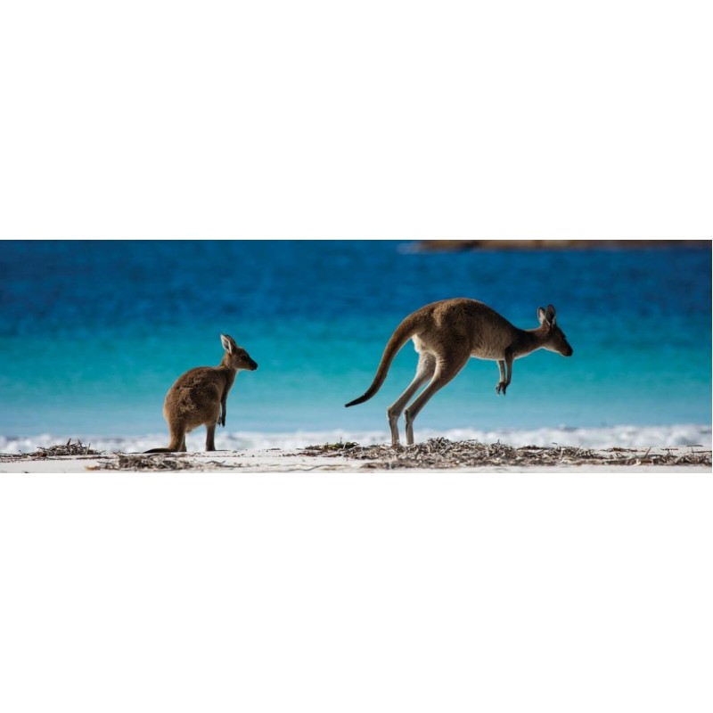 Kangaroo Island  Blu...