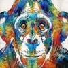 Chimp Colors Diamond Painting Kit