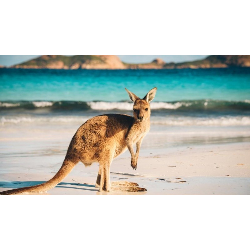 Kangaroo Island Diam...