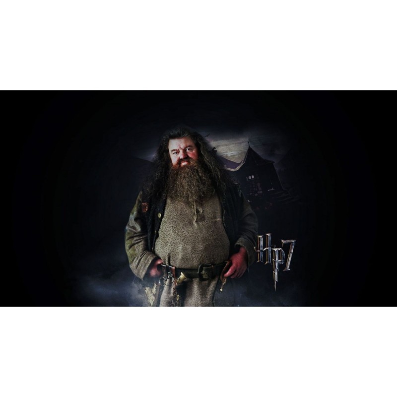 5d Harry Potter Diam...