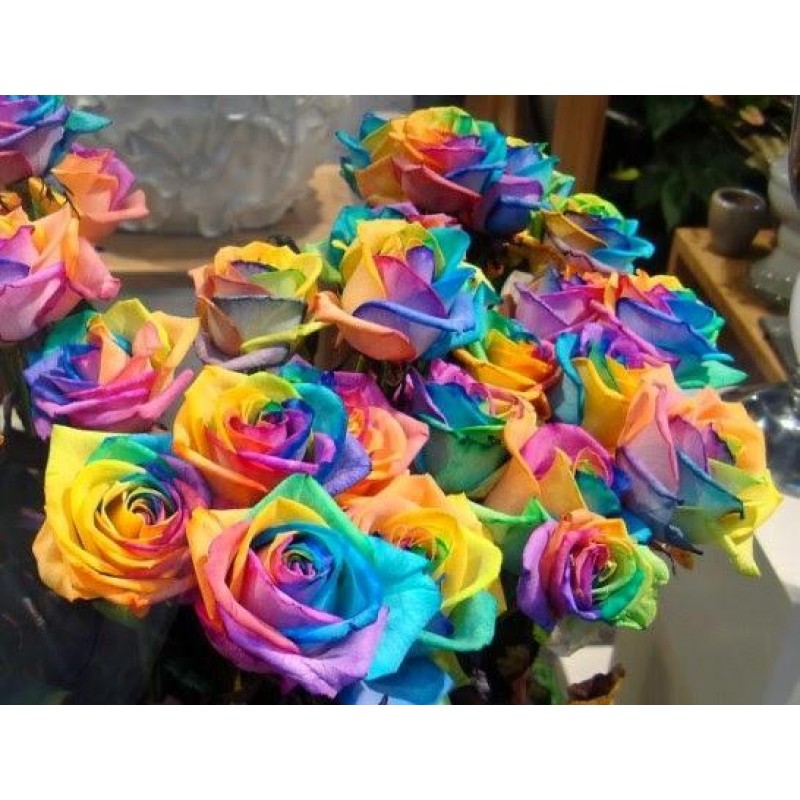 Rainbow Flowers Diam...