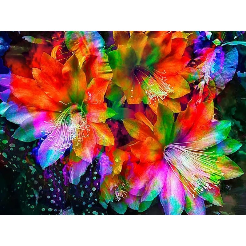 Rainbow Flowers Diam...