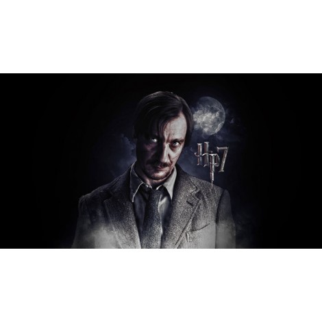 5d Harry Potter Diamond Painting Kit Premium-5