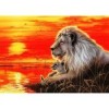 Lion And Baby Diamond Painting Kit