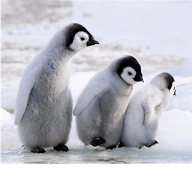 Three Lovely Penguin...