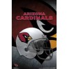 Cardinal Full Helmet Diamond Painting Kit