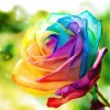 Rainbow Flowers Diamond Painting Kit Rainbow Flowers-2