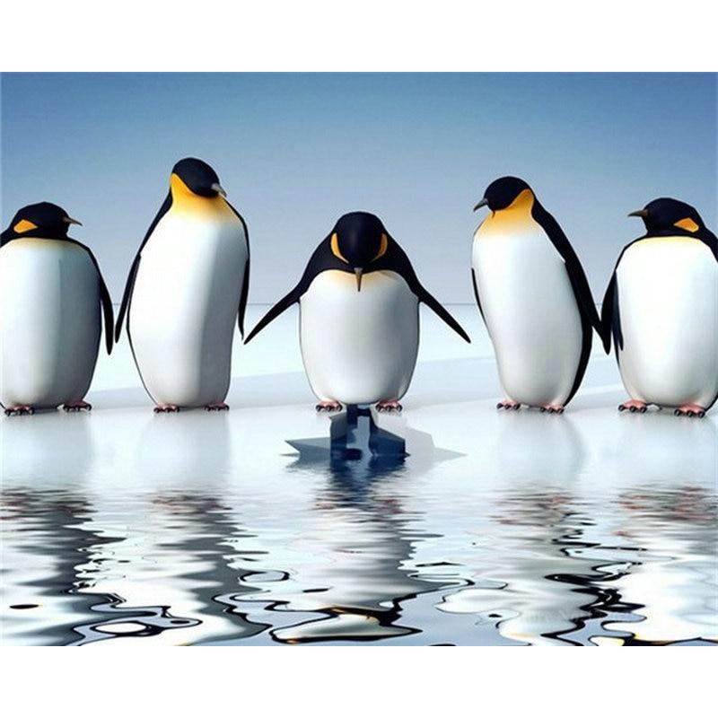 Reflection Penguins ...