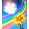Rainbow Flowers Diamond Painting Kit Rainbow Flowers-7