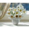 White Daisies Diamond Painting Kit