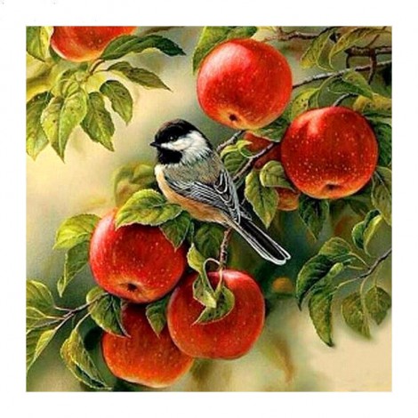 Bird In Apple Diamond Painting Kit