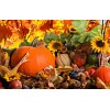 Thanksgiving Day Happy Diamond Painting Kit