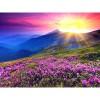 Landscape Sunrise And Purple Flower Diamond Painting Kit