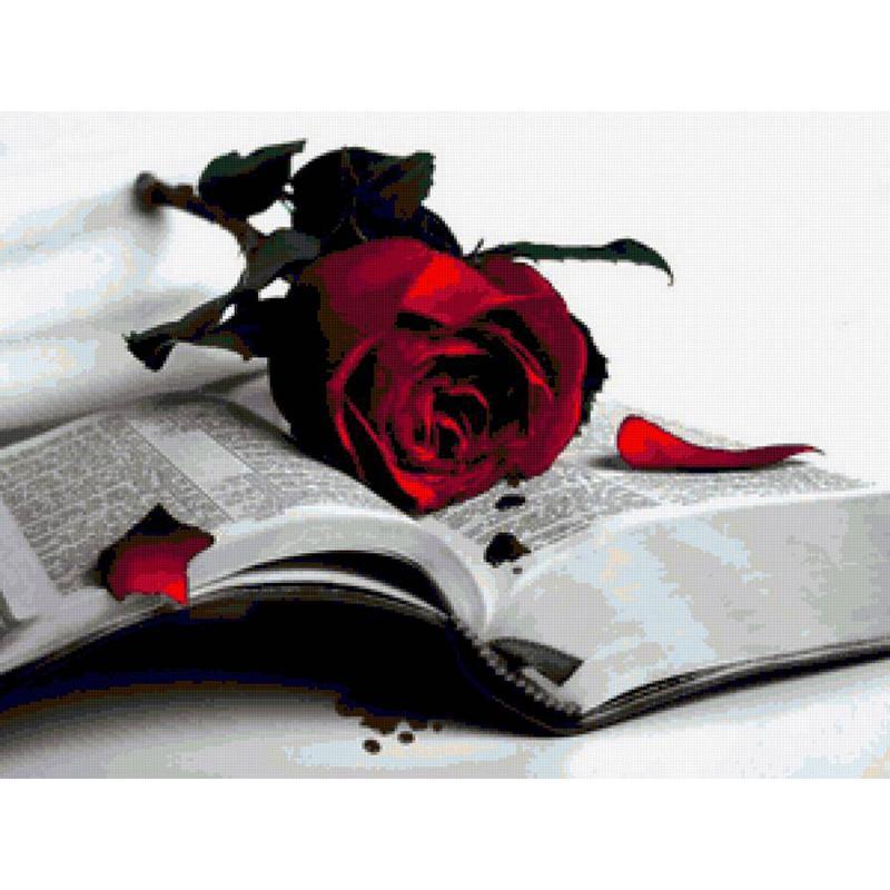 Roses And Books Diam...
