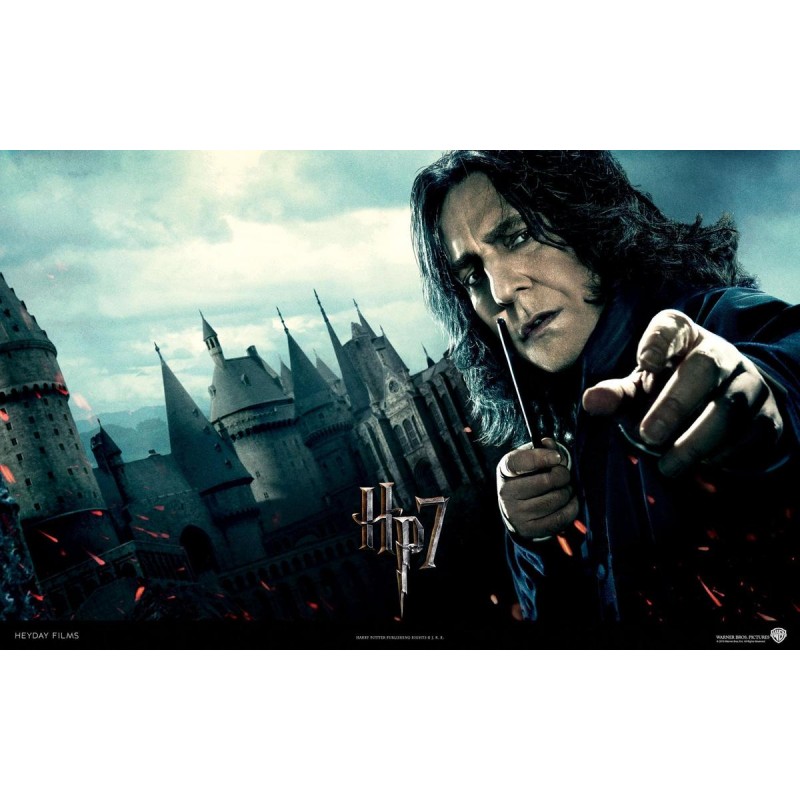 5d Harry Potter Diam...