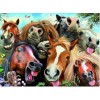 Horses Funny Diamond Painting Kit