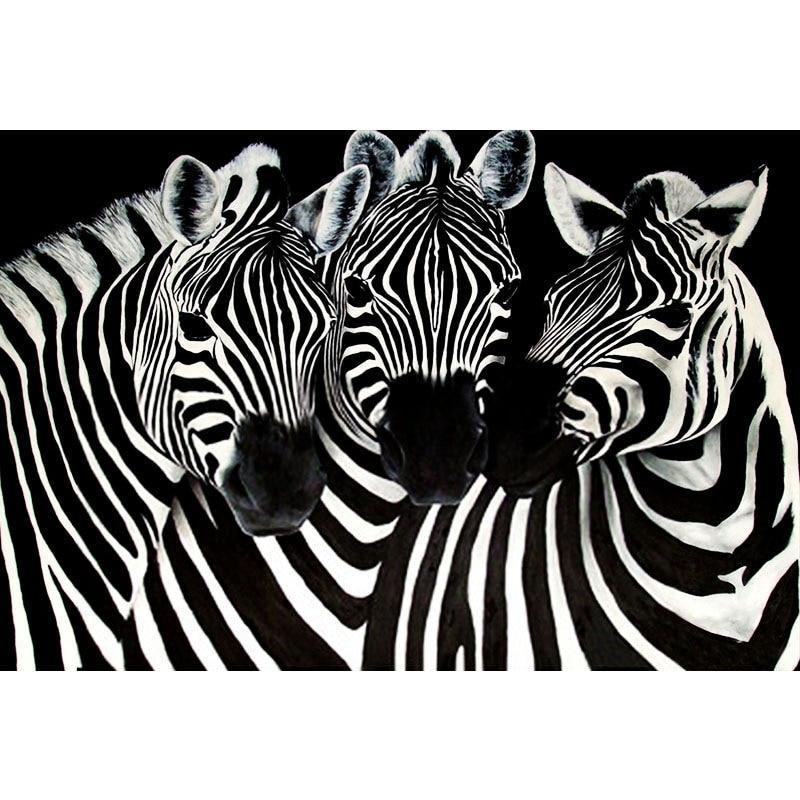 Animal Zebra Diamond...