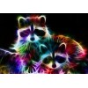 Raccoon Colors Diamond Painting Kit