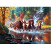 Horses Run Free Diamond Painting Kit