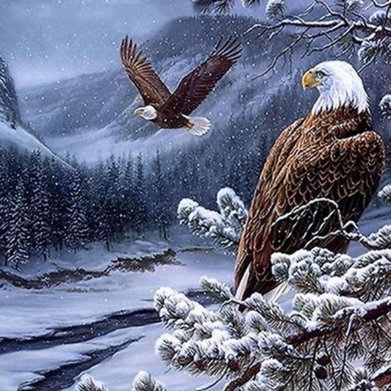 Eagles Winter Diamon...