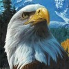 Eagle Seeing Diamond Painting Kit