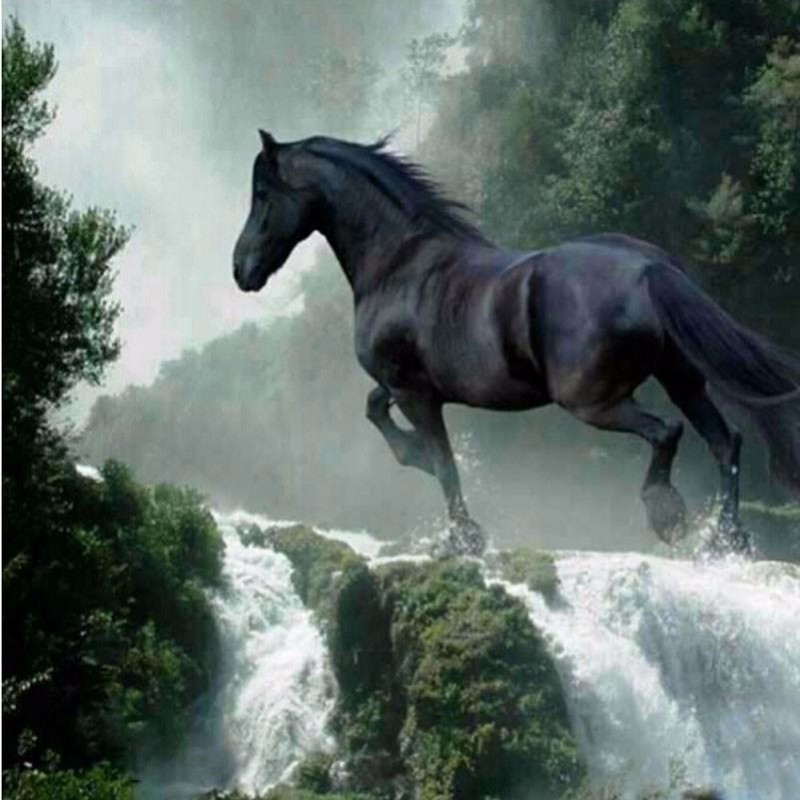 Horse Waterfall Diam...