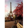 Scenery Eiffel Tower Diamond Painting Kit