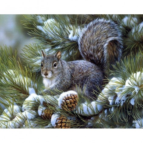 Squirrels Eat Fruit Diamond Painting Kit