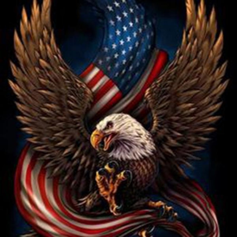 Eagle American Flag ...