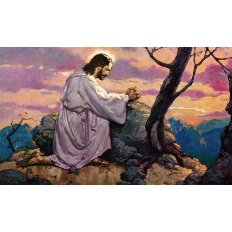 Believers Diamond Painting Kit