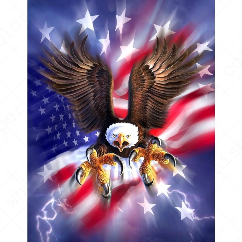 Eagle American Flag ...