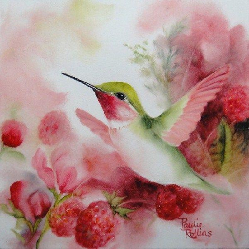 Hummingbird Flowers ...