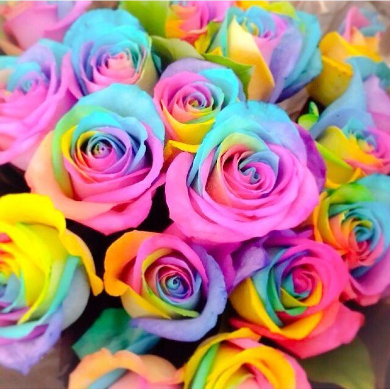 Rainbow Flowers Diam...