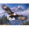 Flying Eagle Diamond Painting Kit