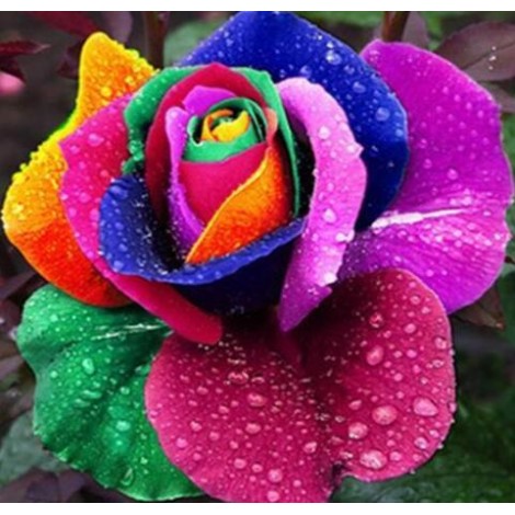 Rainbow Rose Diamond Painting Kit