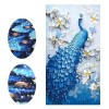 Peacock Diamond Painting Kit