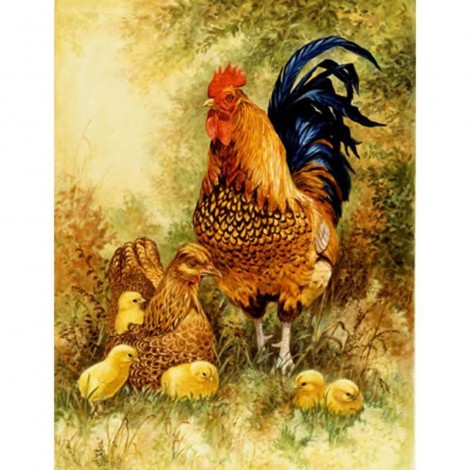 Big rooster and chick Diamond Painting Kit