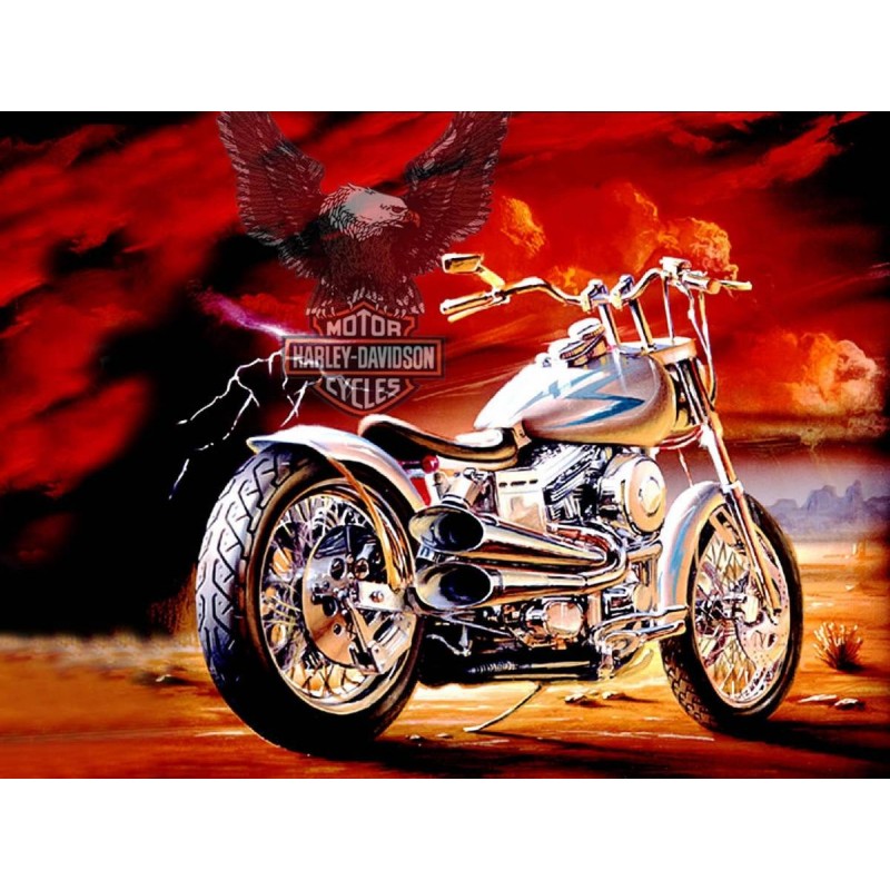 Harley Eagle Flight ...