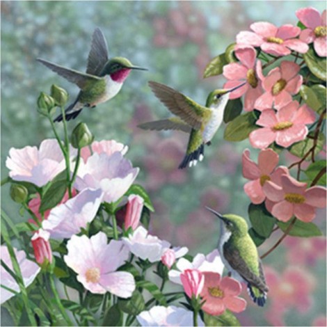 Hummingbirds Flowers Diamond Painting Kit