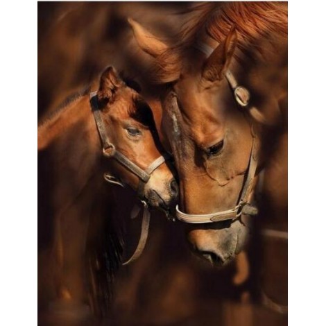Horses Love Forever Diamond Painting Kit
