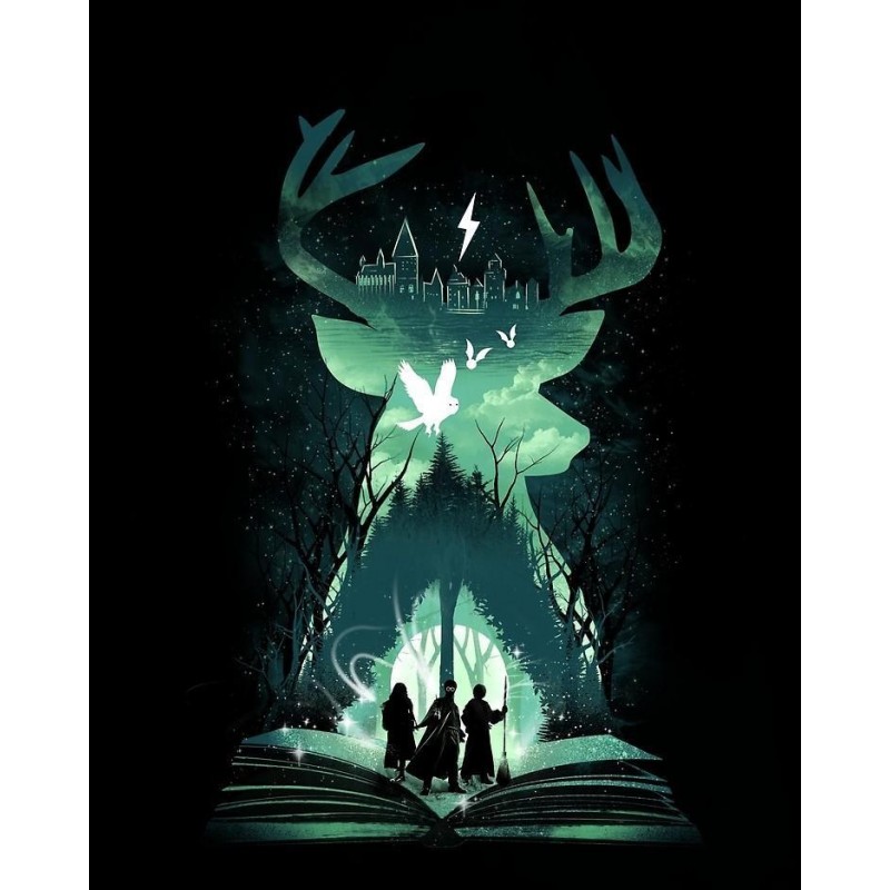 5d Harry Potter Diam...