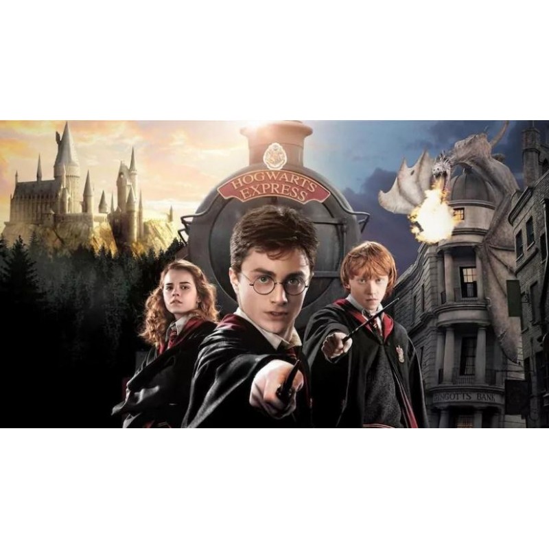 5d Harry Potter Diam...