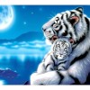 White Tiger Diamond Painting Kit