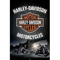 Harley Motorcycle Diamond...