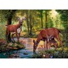 Deer in the forest drinking water Diamond Painting Kit