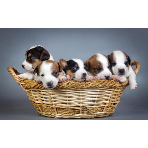 Puppies Lover Diamond Painting Kit
