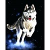 Husky Cut Diamond Painting Kit