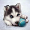Animal Husky Dog Diamond Painting Kit