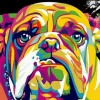 Bulldog Colors Diamond Painting Kit